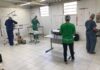 Em menos de cinco anos de gestão, Prefeitura de São Sebastião se aproxima de 6.000 castrações gratuitas de cães e gatos