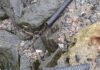 Furto de 300 metros de fios é a causa para falta de iluminação na barra de Boiçucanga em São Sebastião