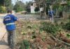 Ações de zeladoria da Prefeitura de São Sebastião atendem bairros Boraceia, Engenho e Vila Zé Mineiro