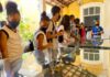Cerca de 1.000 estudantes e turistas participam de visitas monitoradas durante o mês de novembro em São Sebastião