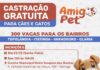Prefeitura de São Sebastião oferece 300 vagas de castração gratuita para bairros Topolândia, Itatinga, Varadouro e Olaria
