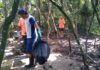 Prefeitura, SAMJU e Instituto Mar Limpo realizam limpeza em manguezal de Juquehy