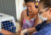 Programa “Bem-Estar Animal – CRA mais perto de você” desembarca na Barra Velha nesta quarta (8)
