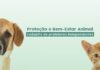 A Prefeitura de Ubatuba informa que será encerrado no próximo dia 30 o cadastramento de protetores independentes de animais
