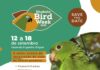 Ilhabela Bird Week 2022 começa na próxima semana