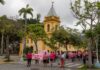 Outubro Rosa: caminhada e plantio de árvores são marcados por emoção e homenagens à vida