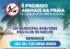 Prefeitura alerta: animais nas praias podem gerar multa