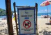 Prefeitura alerta para problemas causados por cães nas praias