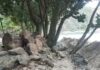Prefeitura atende denúncia de construção irregular de muro na praia de Guaecá