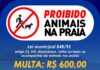 Prefeitura de São Sebastião alerta que levar animais à praia pode gerar multa e apreensão