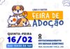 Prefeitura de São Sebastião realiza Feira de Adoção de Cães e Gatos nesta quinta-feira (16) no Centro Histórico
