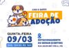 Prefeitura de São Sebastião realiza feira para adoção de cães e gatos vítimas das enchentes