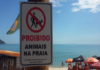 Prefeitura de São Sebastião aumenta valor da multa para quem leva animais à praia