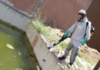 São Sebastião está em estado de alerta para a dengue