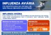 Prefeitura de São Sebastião orienta moradores sobre procedimentos ao encontrar ave suspeita de gripe aviária
