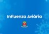 Ave marinha encontrada em Ubatuba é confirmada com Influenza Aviária