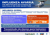 Prefeitura de São Sebastião alerta moradores sobre procedimentos ao encontrar ave com suspeita de gripe aviária
