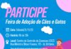 Caraguatatuba tem Feira de Adoção de Cães e Gatos neste sábado