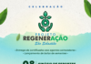 Alunos de São Sebastião lançam mais de 6 mil bolas de semente para reflorestar área degradada no município