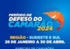 O Departamento de Pesca, Agricultura e Abastecimento da SEMAM alerta os pescadores artesanais do período de defeso do camarão