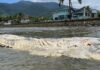 Carcaça de baleia é encontrada na praia da Enseada, em São Sebastião