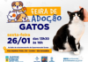 Prefeitura de São Sebastião realiza Feira de Adoção de Gatos nesta sexta-feira