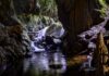 Turismo: SP tem um dos maiores patrimônios naturais em cavernas do país