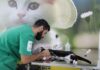 Mais de 70 animais são atendidos em Mutirão de Castração no PATA