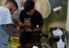 Tutores de pets aprovam atendimento do PATA em São Sebastião