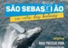 Prefeitura de São Sebastião oferece Oficina de Boas Práticas para Observação de Baleias Jubarte e Outros Cetáceos