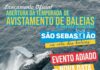 ‘Avistamento em Alto Mar’ abre temporada migratória das baleias jubartes no Canal de São Sebastião