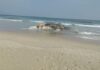 Baleia morta encontrada na Praia de Guaecá