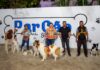 Prefeitura de São Sebastião entrega primeiros parques para pets no Porto Grande e São Francisco