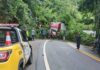 Queda de árvore de grande porte interditou o trecho da Rodovia Manoel Hyppolito do Rego (SP-55), entre Figueira e Cigarras