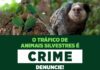 Prefeitura de Ilhabela alerta sobre o tráfico de animais silvestres e ameaça à biodiversidade
