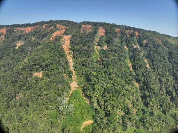 Projeto Restaura Litoral 2