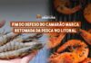 Fim do defeso do camarão marca retomada da pesca no litoral