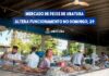 Mercado de Peixe de Ubatuba altera funcionamento no Domingo, 29