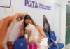PATA alerta para responsabilidade dos tutores no comparecimento das consultas com pets