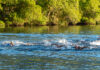 Maratona aquática em Bertioga terá número recorde de participantes neste sábado (16)