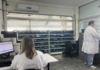 Prefeitura de São Sebastião informatiza farmácias da rede pública para dar mais praticidade aos pacientes