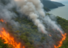 Corpo de Bombeiros combate grande incêndio na mata da Praia da Tabatinga, em Ubatuba