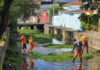 Prefeitura de São Sebastião realiza limpeza geral no Córrego do Outeiro, na região central