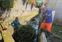 Prefeitura de São Sebastião amplia frentes de zeladoria e reforça manutenção urbana em toda a cidade