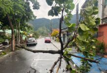 Rajadas de vento mobilizam equipes na madrugada deste sábado em São Sebastião