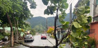 Rajadas de vento mobilizam equipes na madrugada deste sábado em São Sebastião