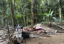 Prefeitura de Ilhabela reforça fiscalização em área de preservação permanente no Green Park