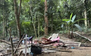 Prefeitura de Ilhabela reforça fiscalização em área de preservação permanente no Green Park