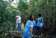 São Sebastião promove ação de limpeza no Mangue do Colhereiro aberta ao público nesta sexta-feira