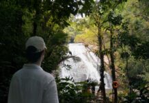 Prefeitura de São Sebastião e Fundação Florestal renovam cooperação para gestão de trilhas no Parque Estadual